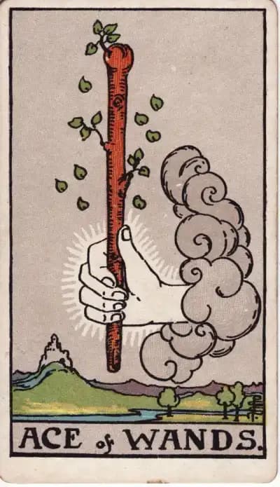 Карта Таро Туз Жезлов